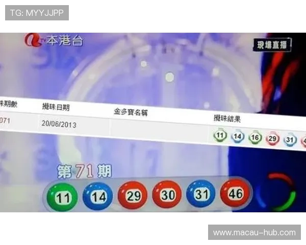 掌握六合彩电脑版官网最新动态，了解优惠活动与投注技巧提升中奖几率